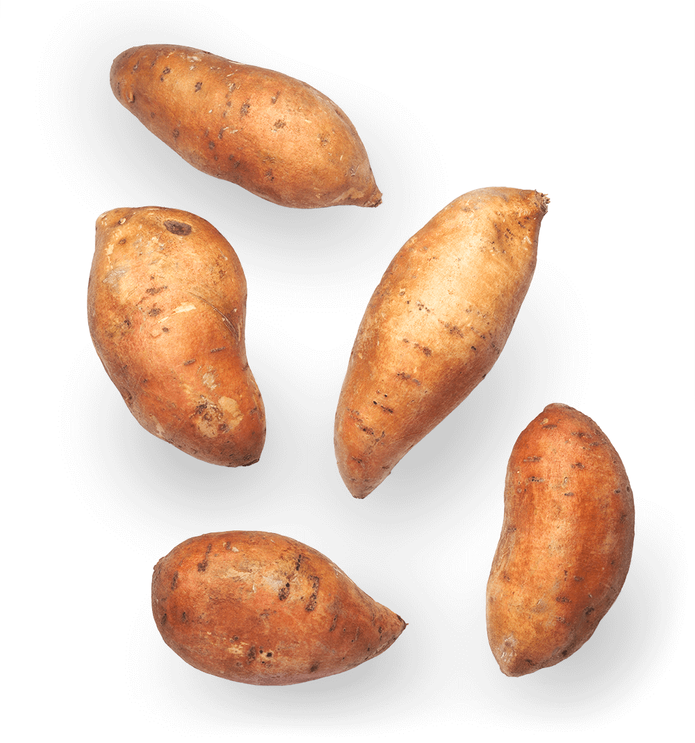 WK-7-3