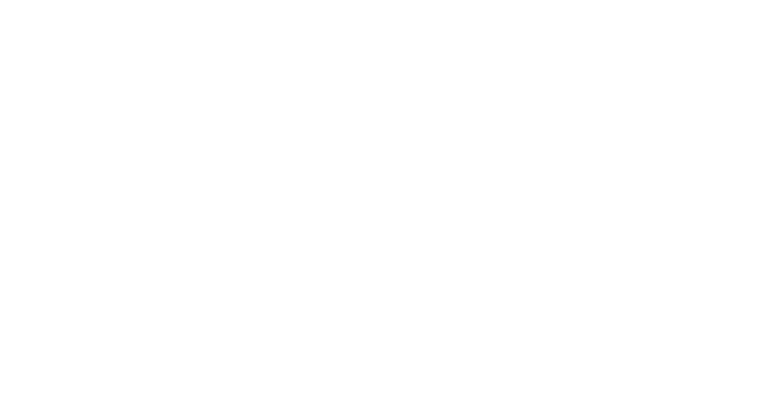 AVFC Logo