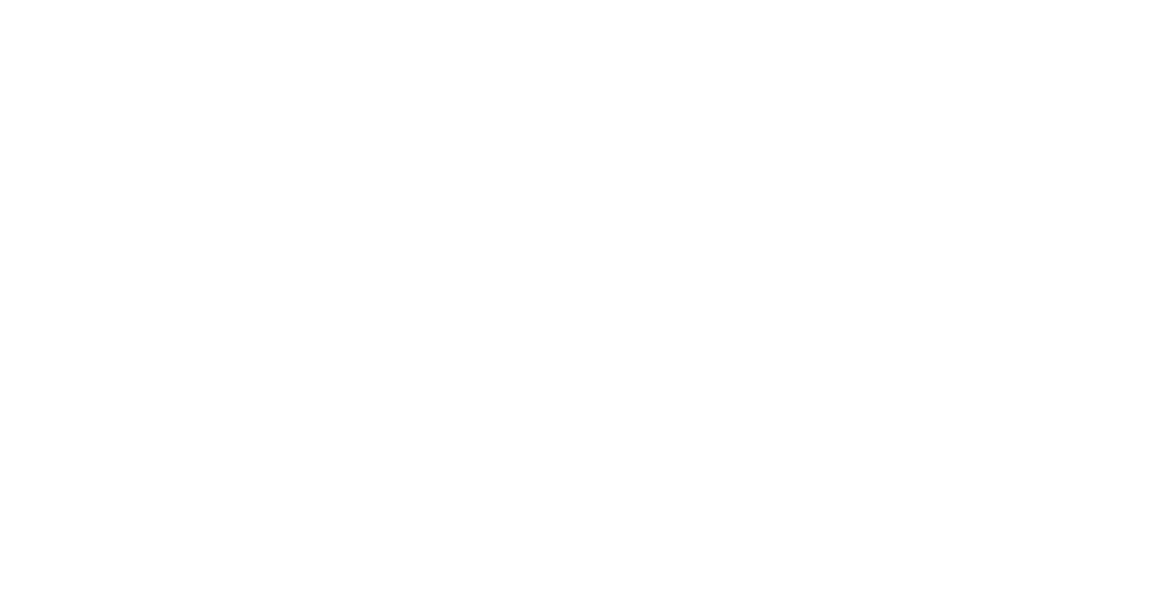 South Aus Logo
