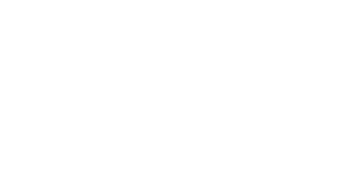 Sport Birmingham Logo