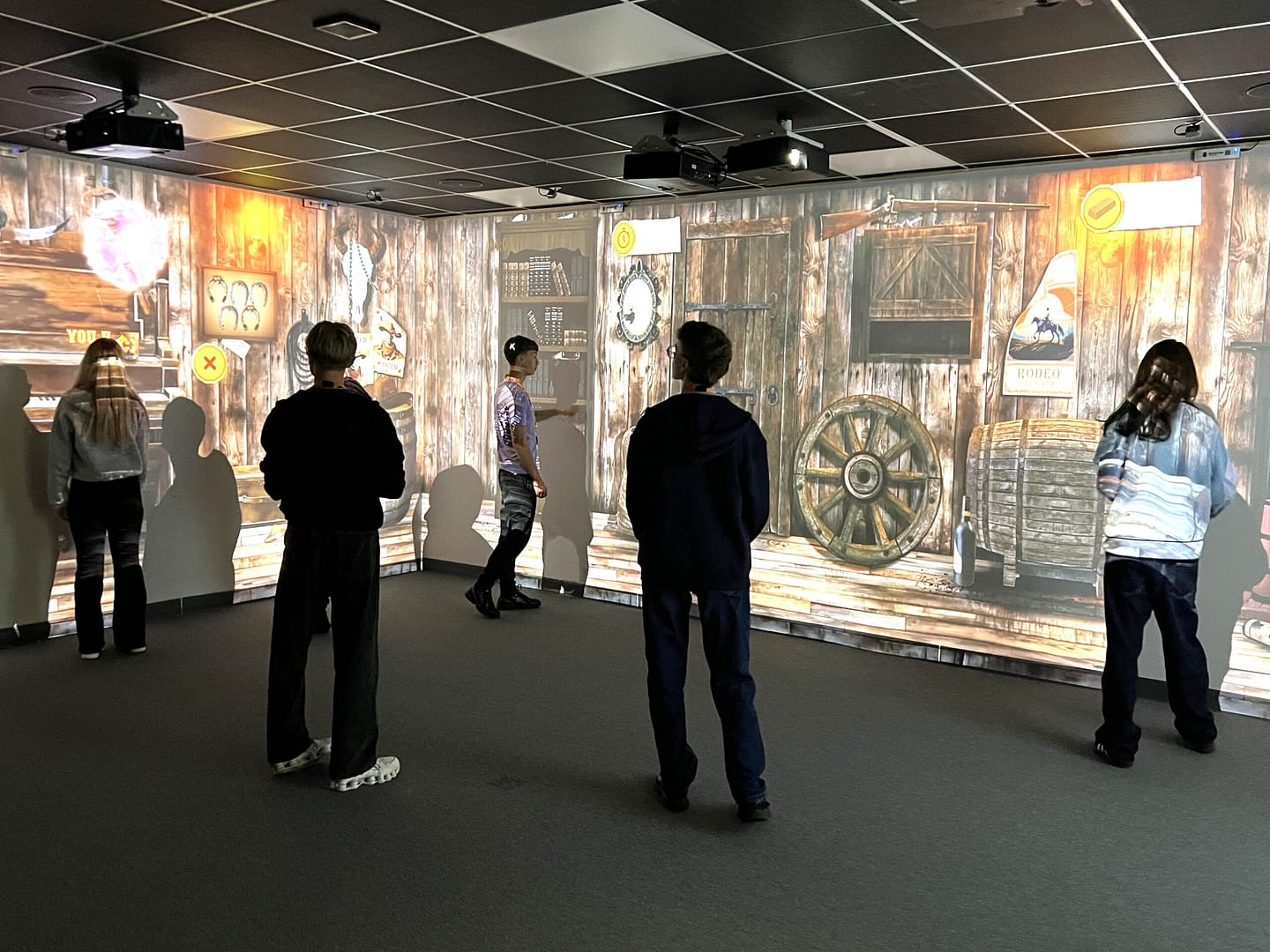 Immersive room feature