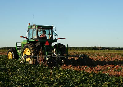 North Carolina Sweetpotato Commission (UK/FR/GE)