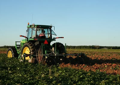 North Carolina Sweetpotato Commission (UK/FR/GE)