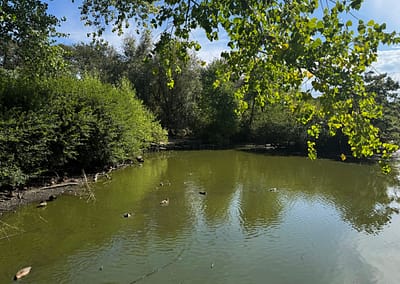 Guernsey Water (UK)